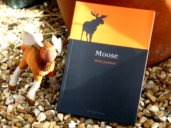 Moose by Kevin Jackson