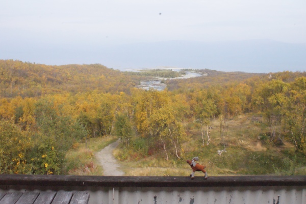 The view from Abisko Mountain Station