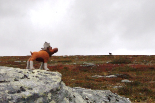 Sami Reindeers on the horizon